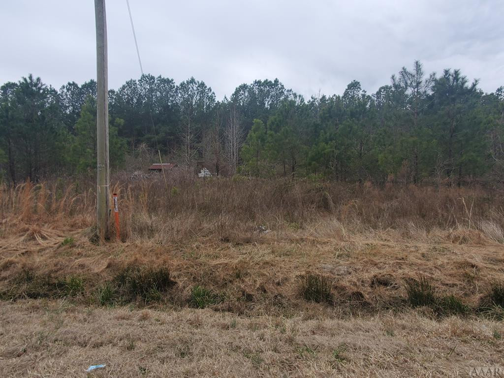 0 Paige Riddick Road Gates, NC 27937 - Photo 5 of 6