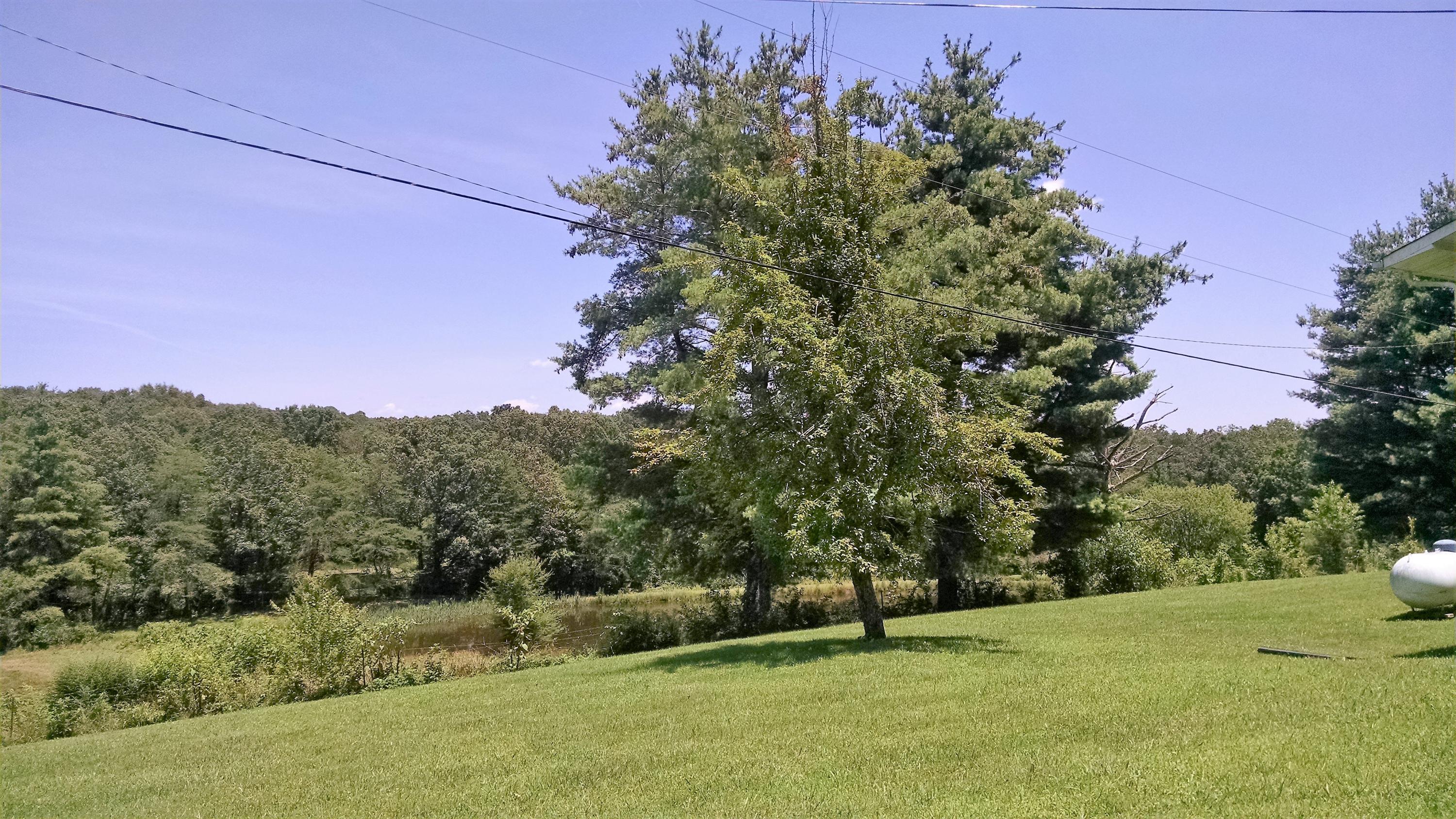 191 Old Sampson Road Pikeville, TN 37367 - Photo 16 of 20 IMG_20170710_125058300