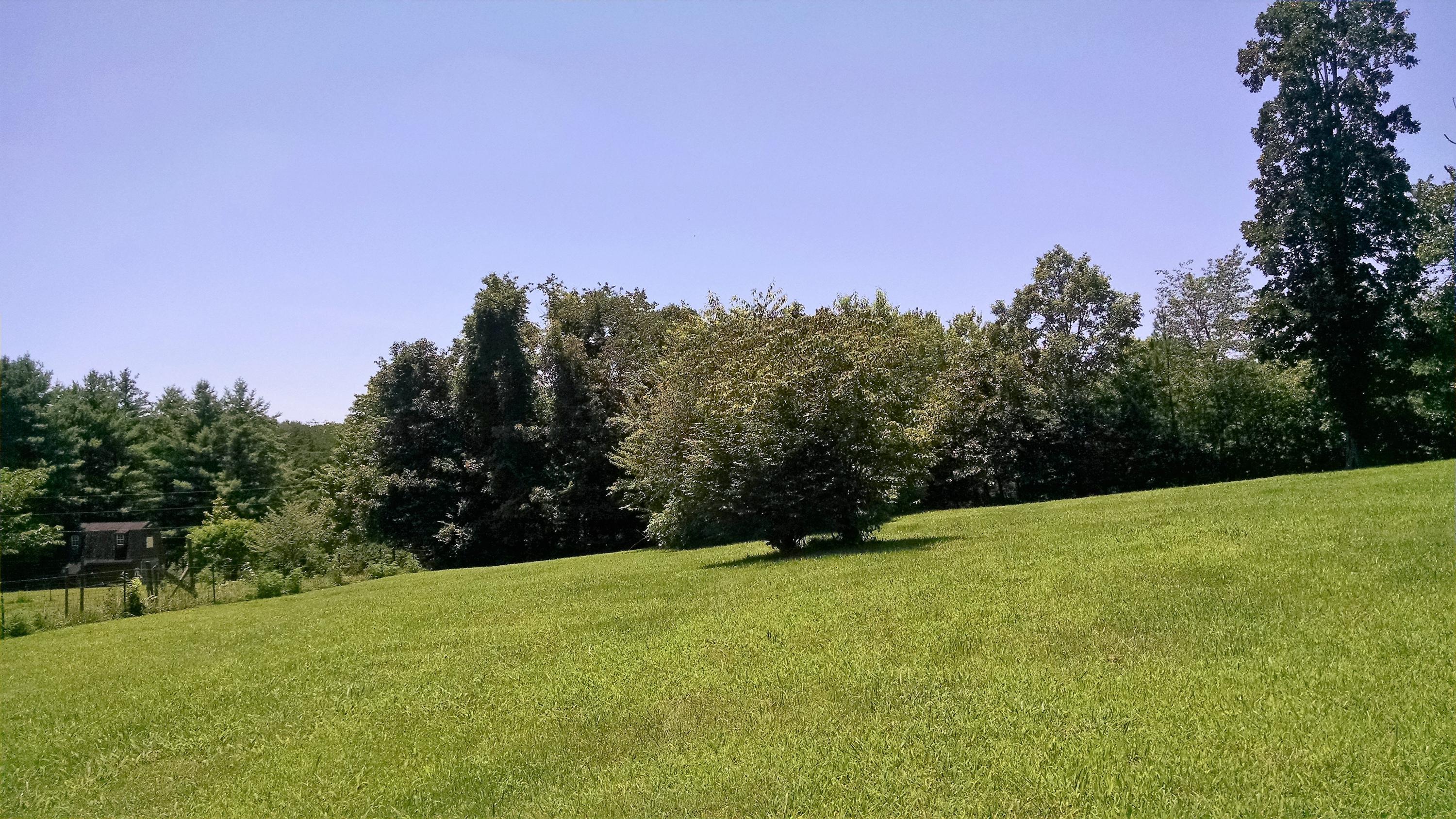 191 Old Sampson Road Pikeville, TN 37367 - Photo 18 of 20 IMG_20170710_125246562