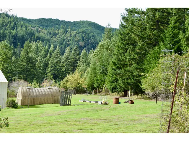a view of a big yard with large trees and wooden fence