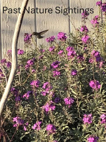 $445,000 | 3413 Joanna Drive, Modesto, CA 95355