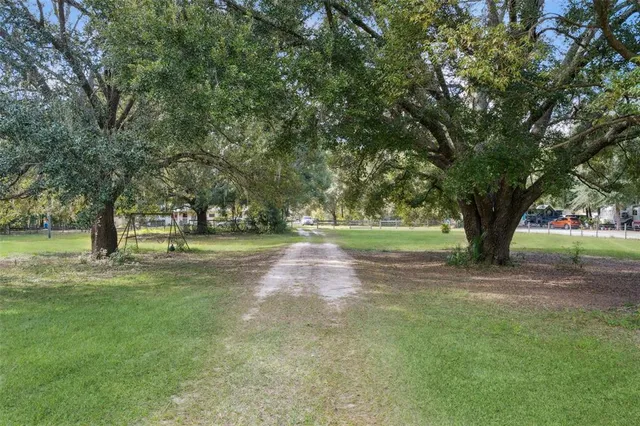 a view of a yard with tree s