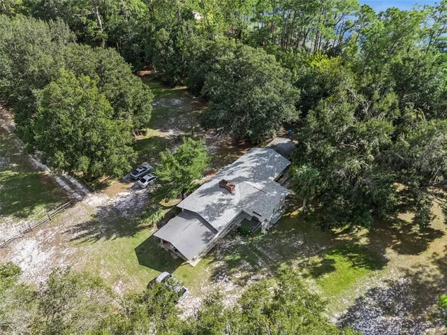a view of a yard with plants and large trees