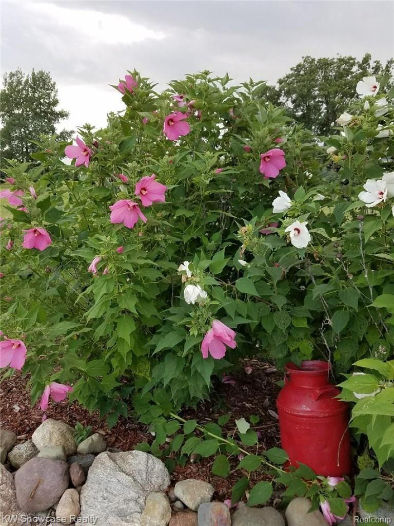 4664 Holly Lake Road Lapeer, MI 48446 - Photo 6 of 59 IMG_4478.JPG