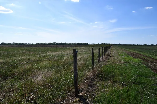 a view of a lake from a yard