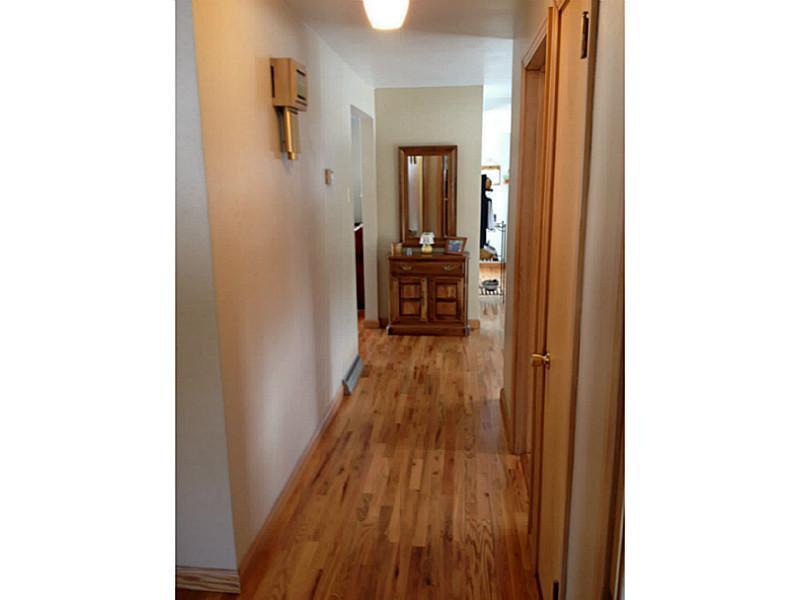 3811 New Texas Road Plum, PA 15239 - Photo 19 of 25 Other.