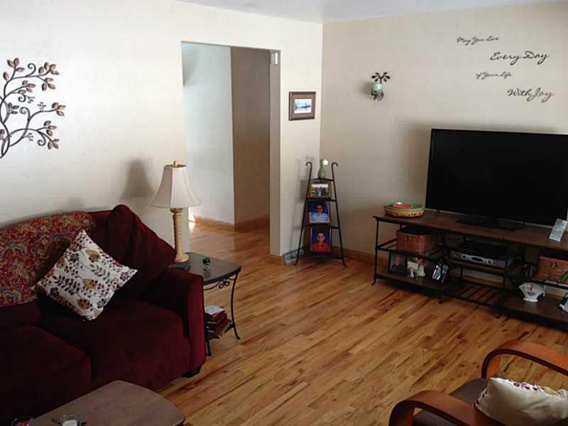3811 New Texas Road Plum, PA 15239 - Photo 5 of 25 Living Room.