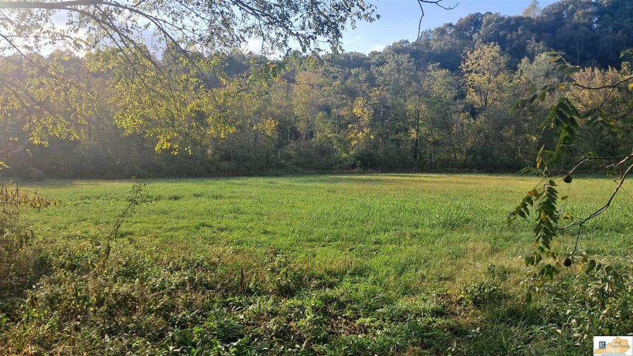 700 Grassy Springs Road Columbia, KY 42728 - Photo 1 of 10 Gallery Image 1