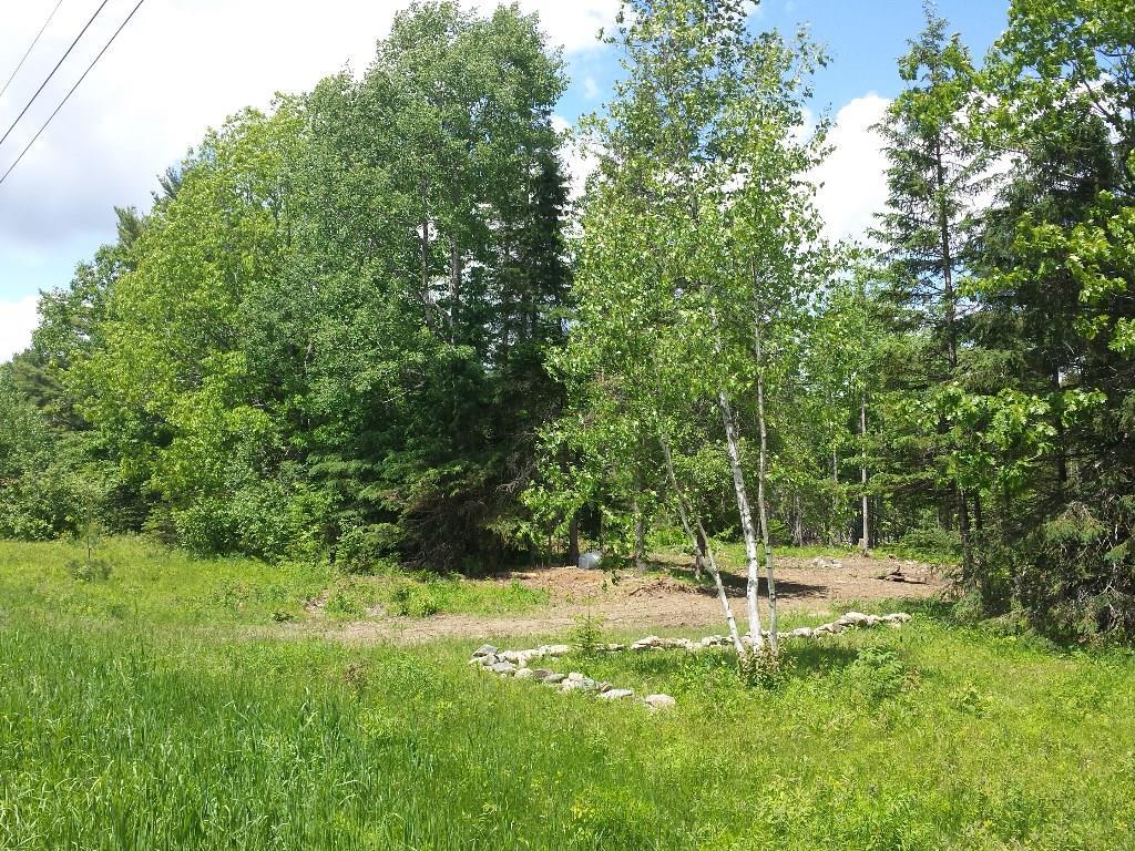 12 Sprucewood Road Eddington, ME 04428 - Photo 1 of 7 Front view of lot