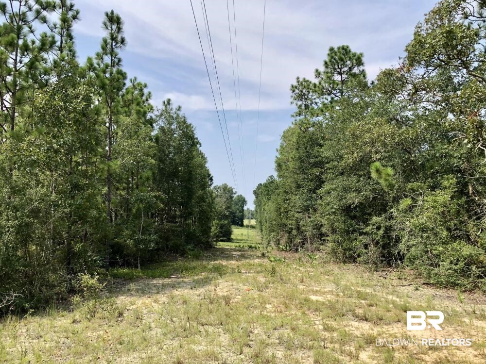 18560 Mason Street Citronelle, AL 36522 - Photo 38 of 45