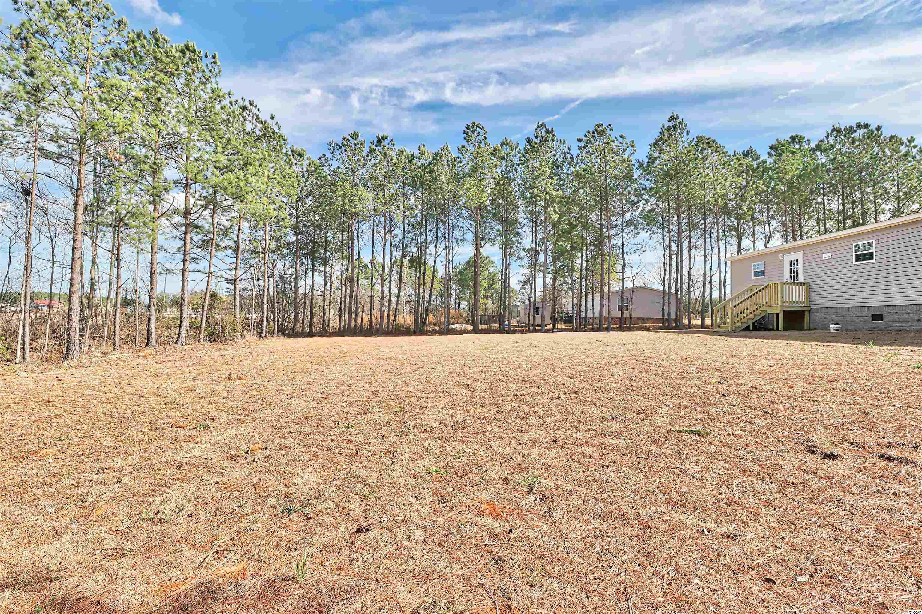 1334 St John Road Galivants Ferry, SC 29544 - Photo 31 of 34 Gallery Image 31