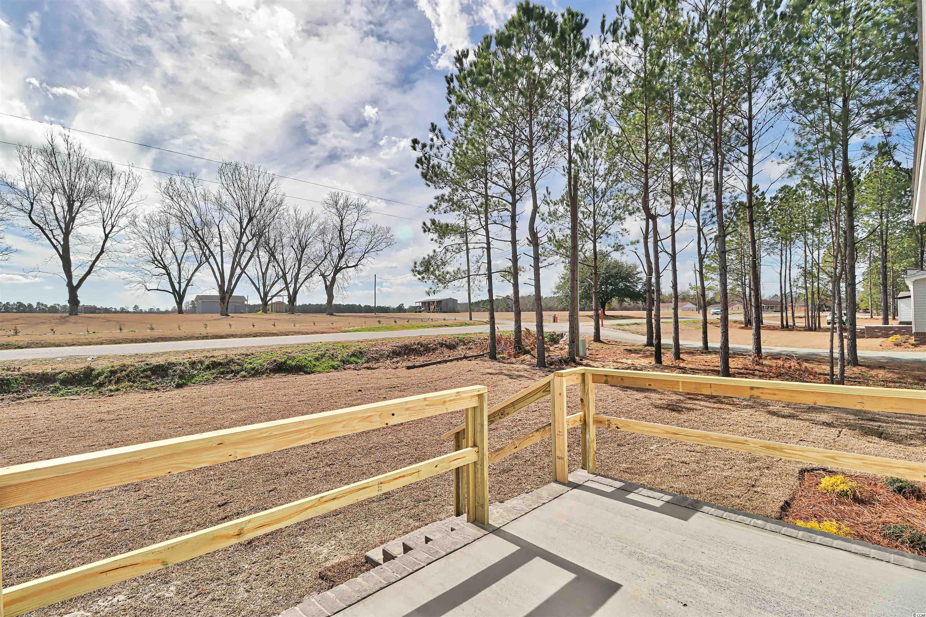 1334 St John Road Galivants Ferry, SC 29544 - Photo 32 of 34 Gallery Image 32