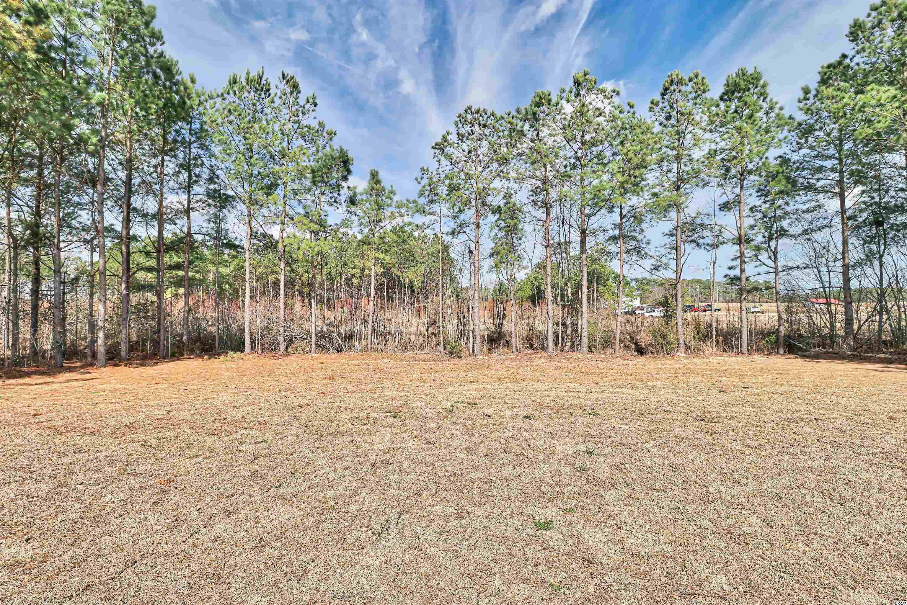 1334 St John Road Galivants Ferry, SC 29544 - Photo 33 of 34 Gallery Image 33