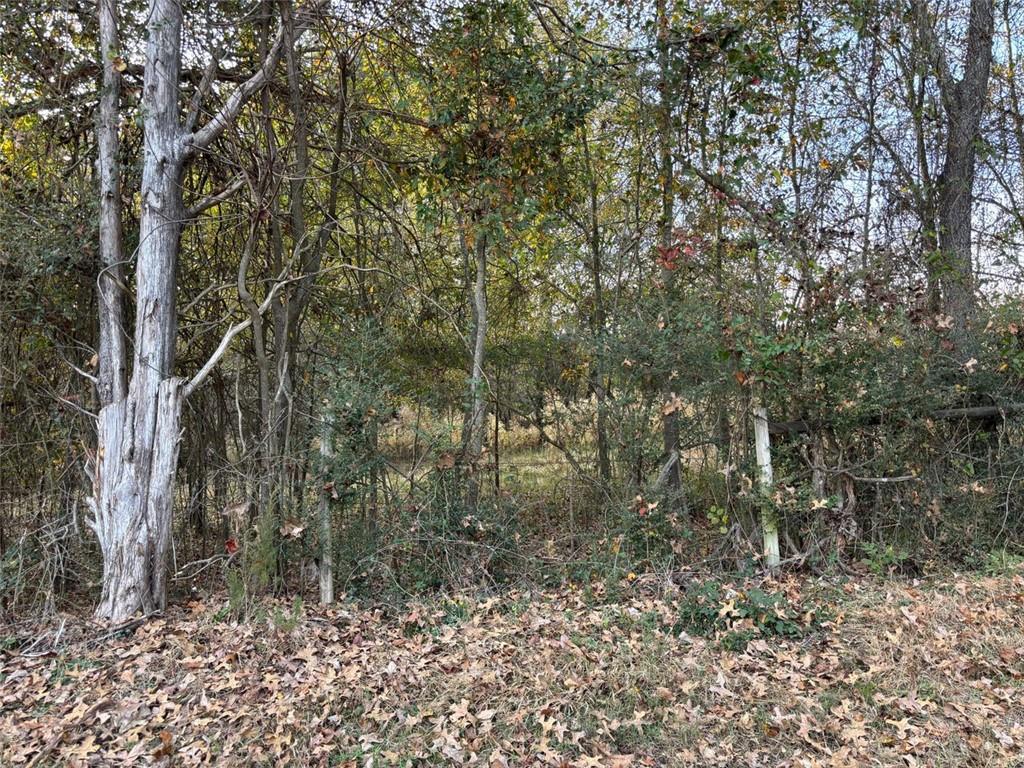 222 Norman Road Athens, GA 30607 - Photo 4 of 13 a view of a forest