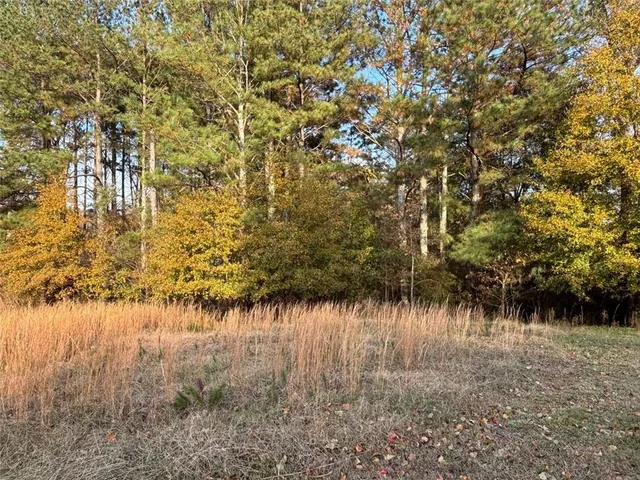 a view of swimming pool and trees