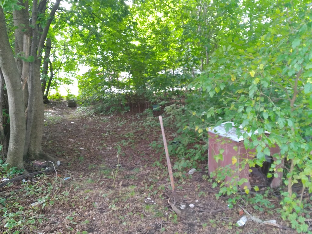 11 Larch Street Worcester, MA 01609 - Photo 8 of 9