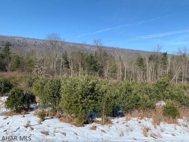 0 Lodge Road Crystal Spring, PA 15536 - Photo 4 of 54 Gallery Image 4