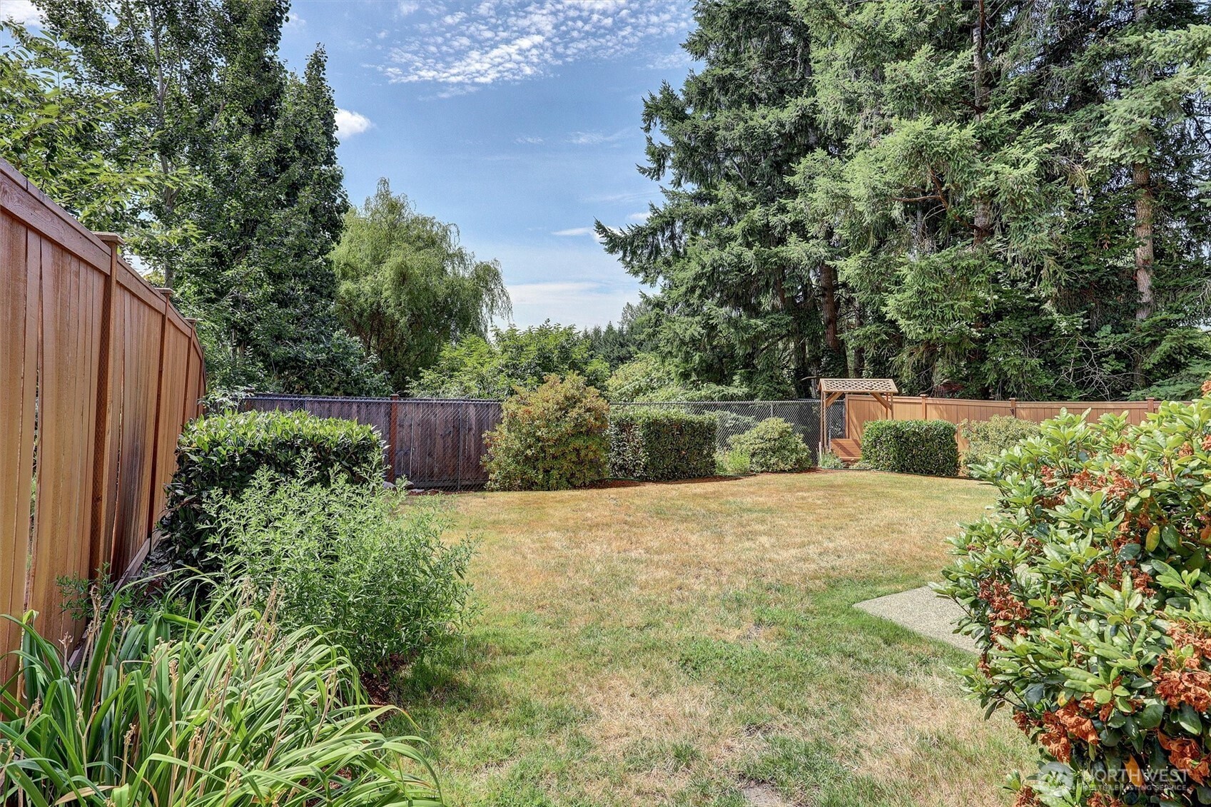 15403 Southeast 254th Street Covington, WA 98042 - Photo 3 of 22 a view of a backyard with plants and large trees