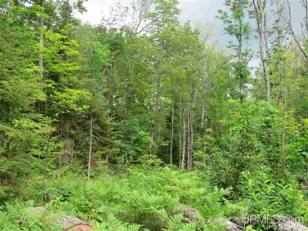120 A Donken-tapiola Road Hancock, MI 49931 - Photo 8 of 14