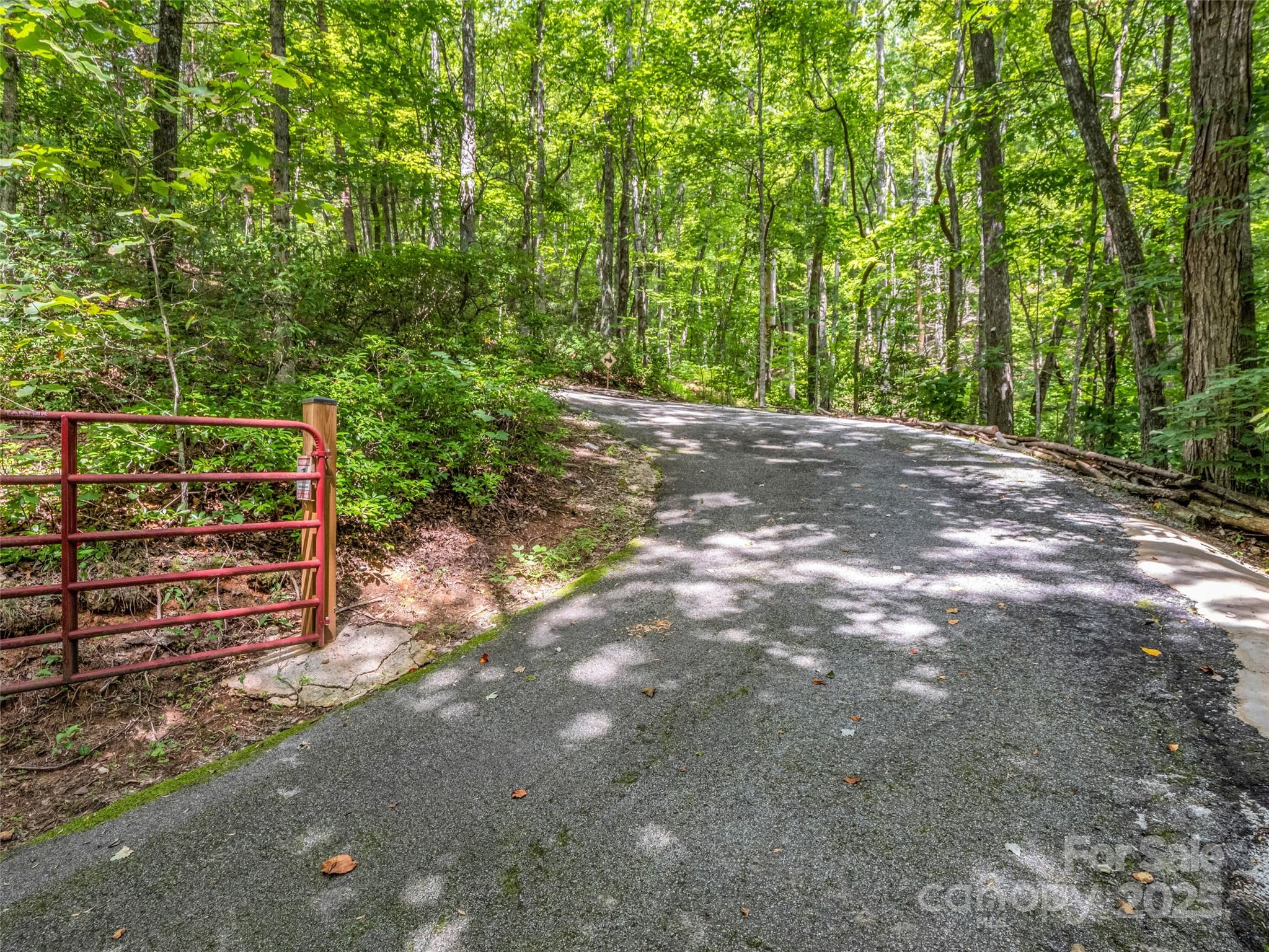 479 Camp Hill Road Mill Spring, NC 28756 - Photo 36 of 48 a view of outdoor space and yard