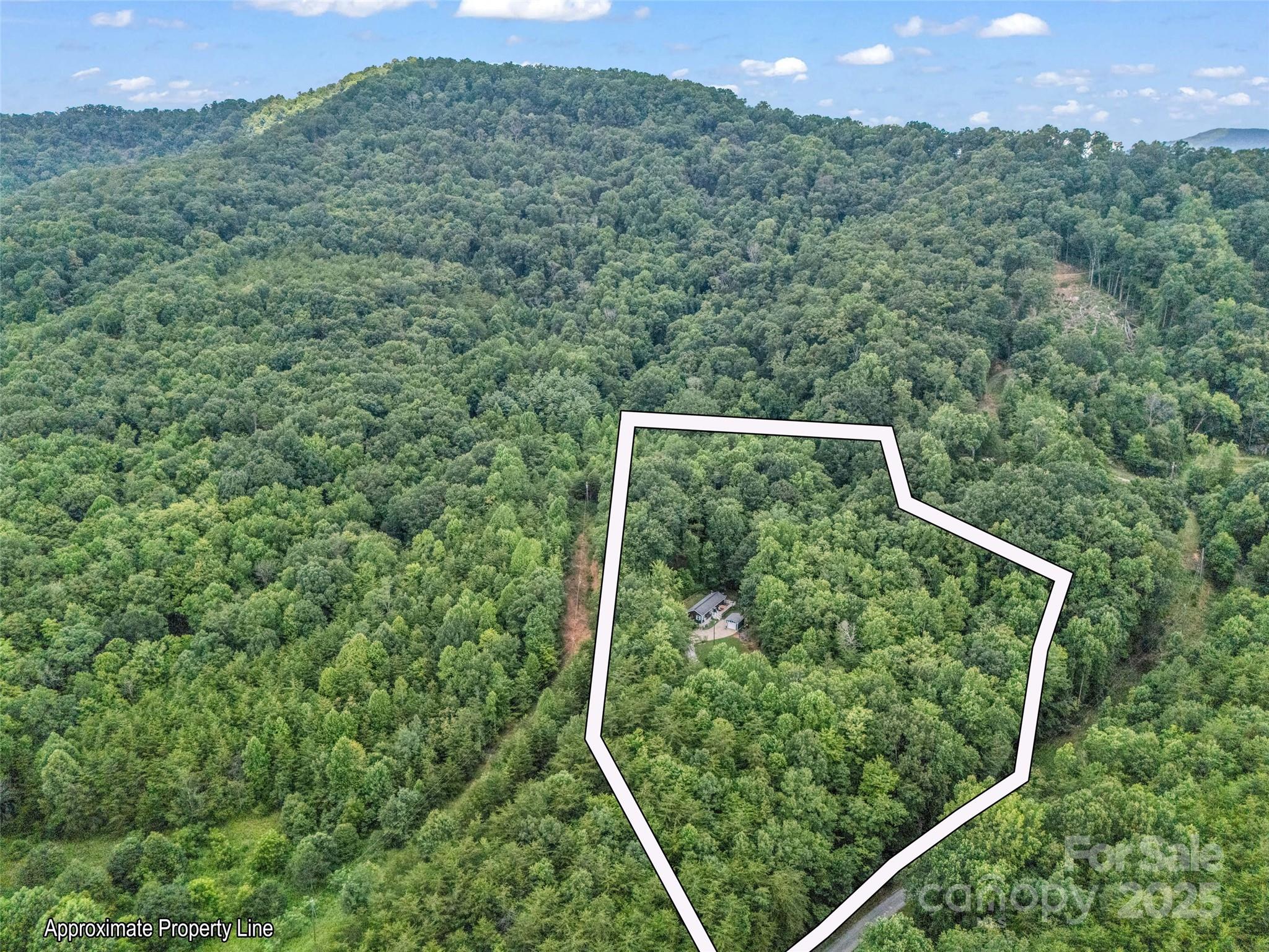 479 Camp Hill Road Mill Spring, NC 28756 - Photo 41 of 48 a view of a yard in a field