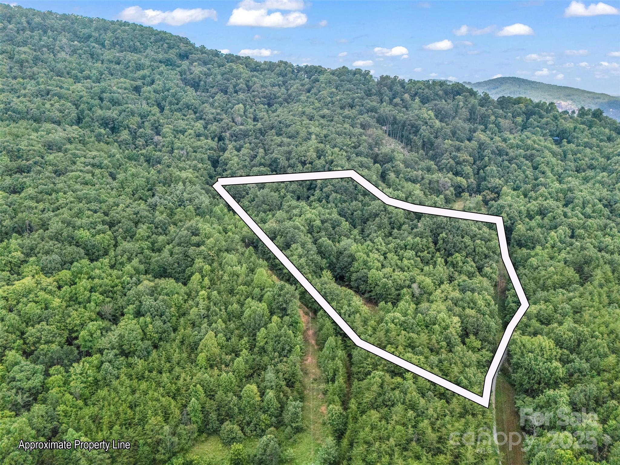 479 Camp Hill Road Mill Spring, NC 28756 - Photo 42 of 48 a view of a yard