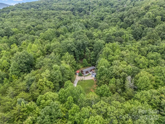 a view of a lush green forest with trees and some houses