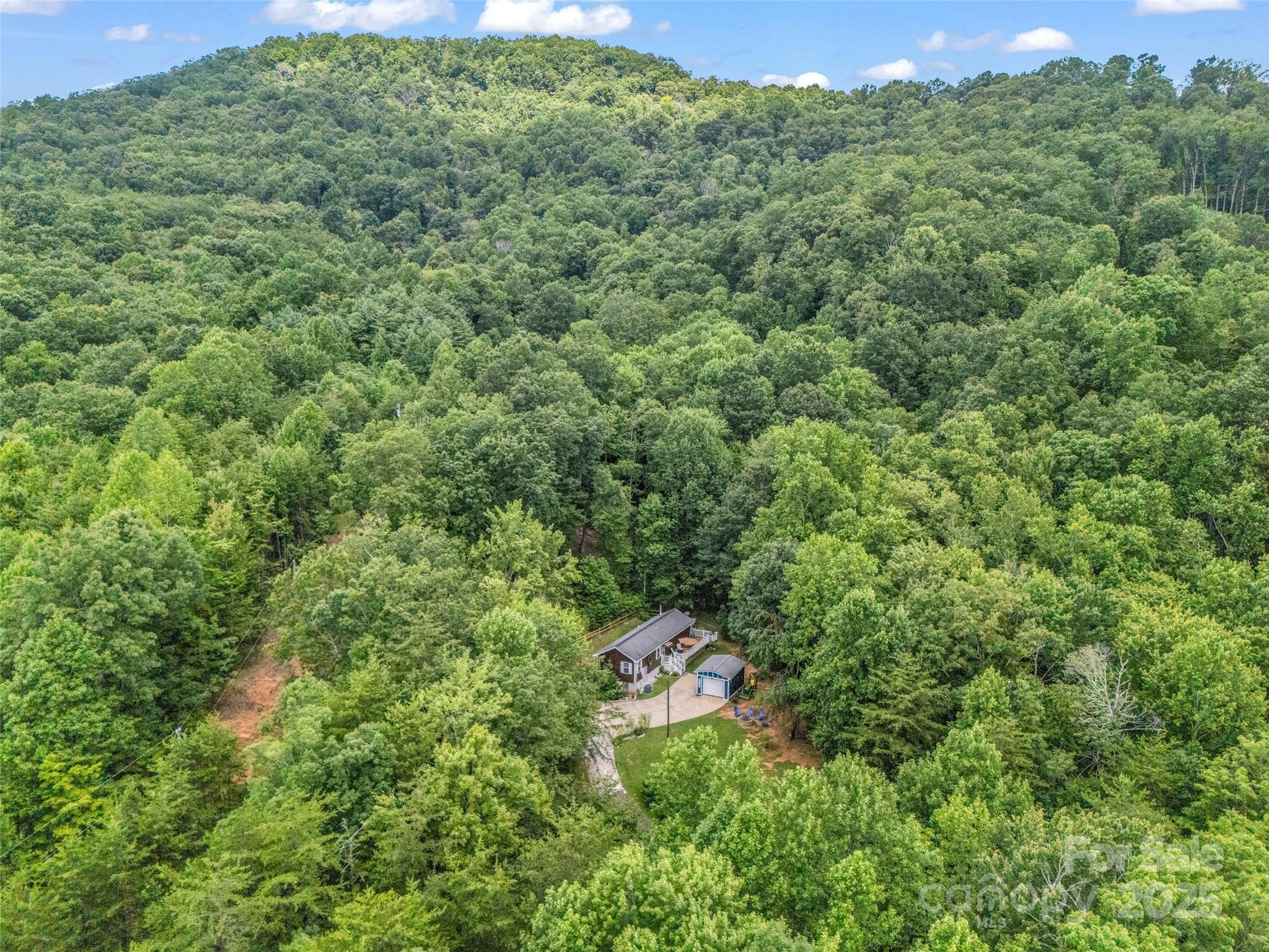479 Camp Hill Road Mill Spring, NC 28756 - Photo 45 of 48 a view of a lush green forest with trees and some houses