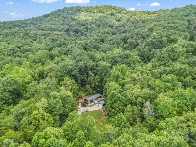 a view of a green field with lots of bushes