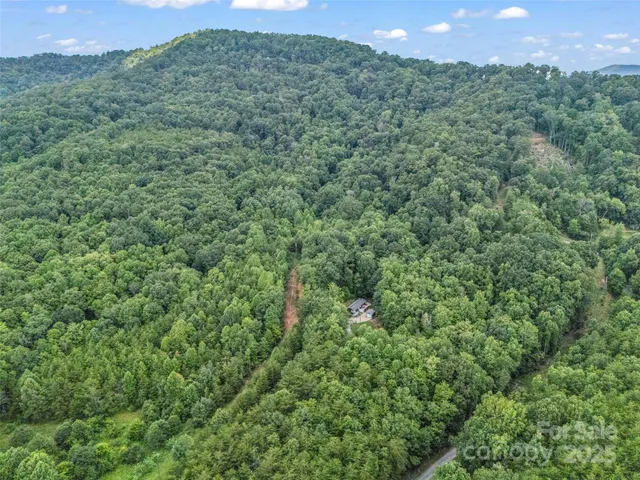 a view of a green field with lots of bushes