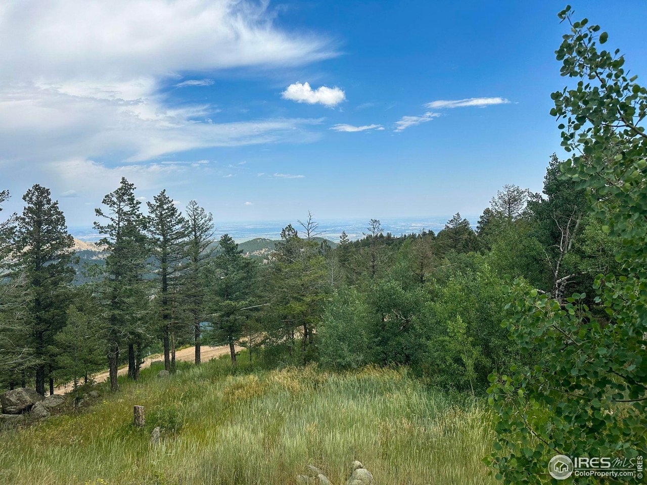 1575 Deer Trail Road Boulder, CO 80302 - Photo 12 of 39 a view of a yard with a tree
