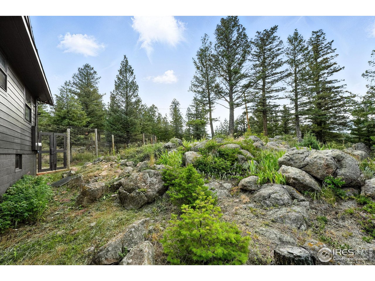 1575 Deer Trail Road Boulder, CO 80302 - Photo 35 of 39 a view of a garden with plants and large trees