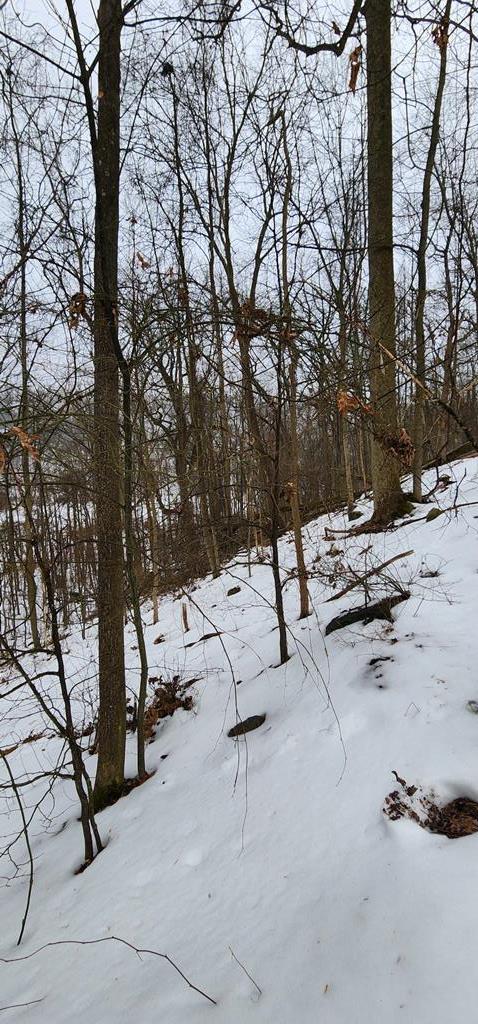 0 Phillipston Road Rimersburg, PA 16248 - Photo 11 of 28 a view of outdoor space with seating