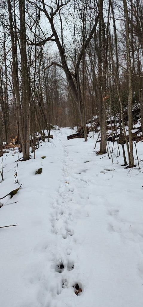 0 Phillipston Road Rimersburg, PA 16248 - Photo 18 of 28 a view of snow on the road