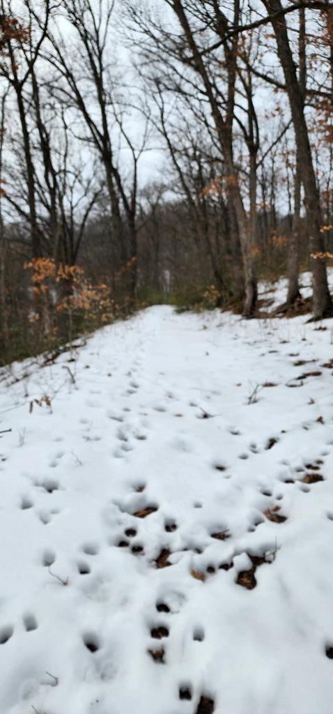 0 Phillipston Road Rimersburg, PA 16248 - Photo 21 of 28 a view of snow on the road