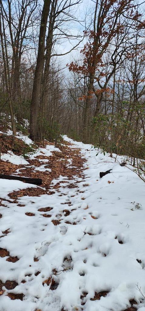 0 Phillipston Road Rimersburg, PA 16248 - Photo 23 of 28 a view of a yard with snow on the road