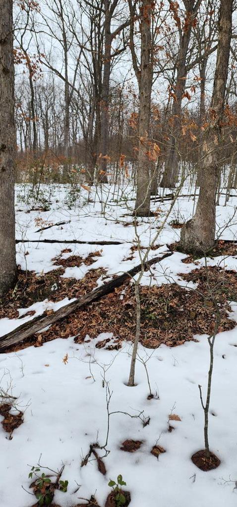0 Phillipston Road Rimersburg, PA 16248 - Photo 24 of 28 a view of a yard with a tree