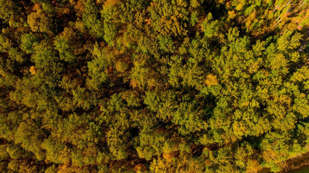 0 Phillipston Road Rimersburg, PA 16248 - Photo 4 of 28 a view of a tree
