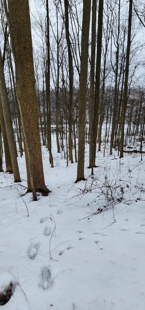 0 Phillipston Road Rimersburg, PA 16248 - Photo 7 of 28 a view of snow on the road