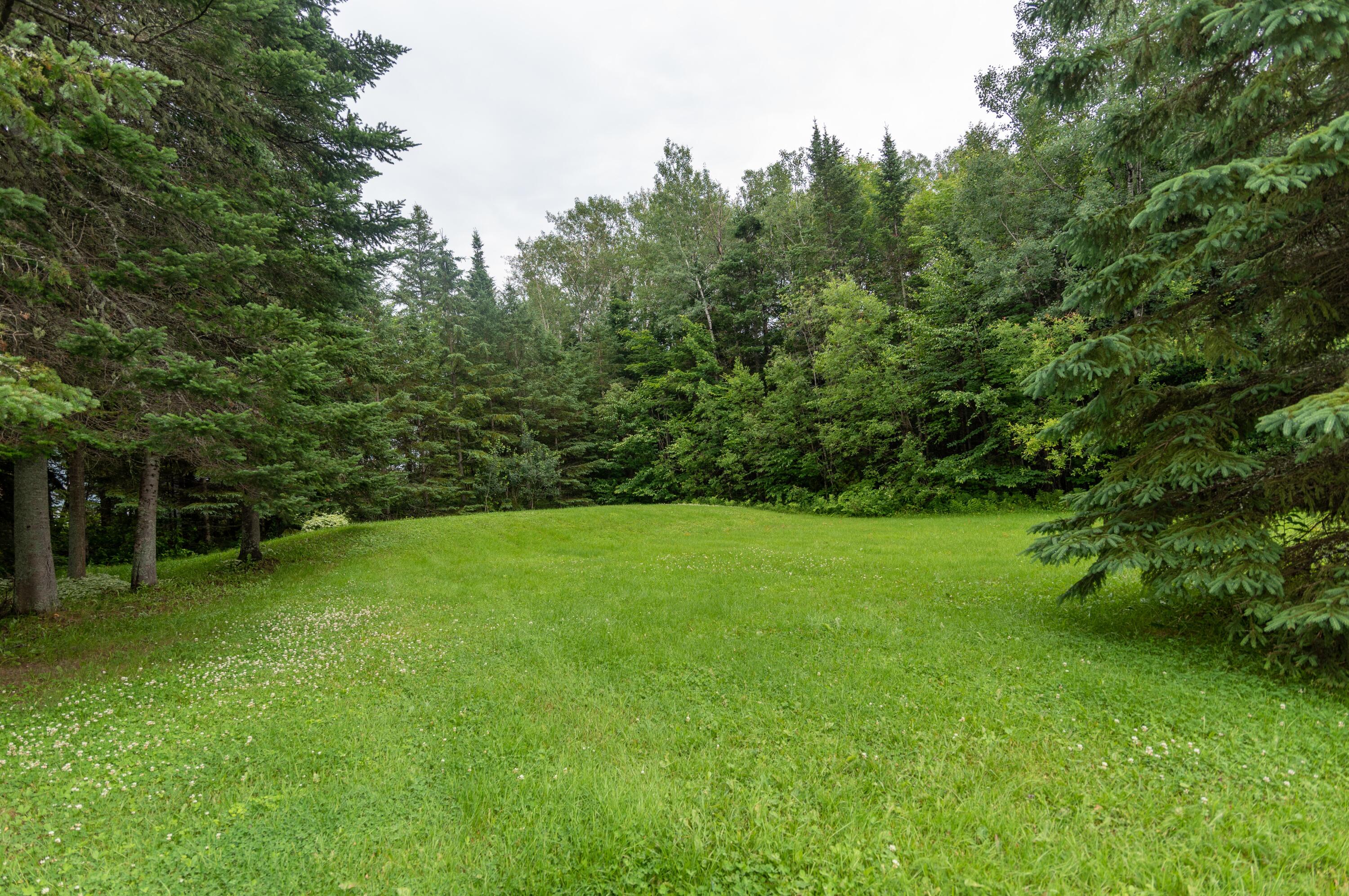 46 Green Point Road St. David, ME 04773 - Photo 15 of 30 DSC_8119