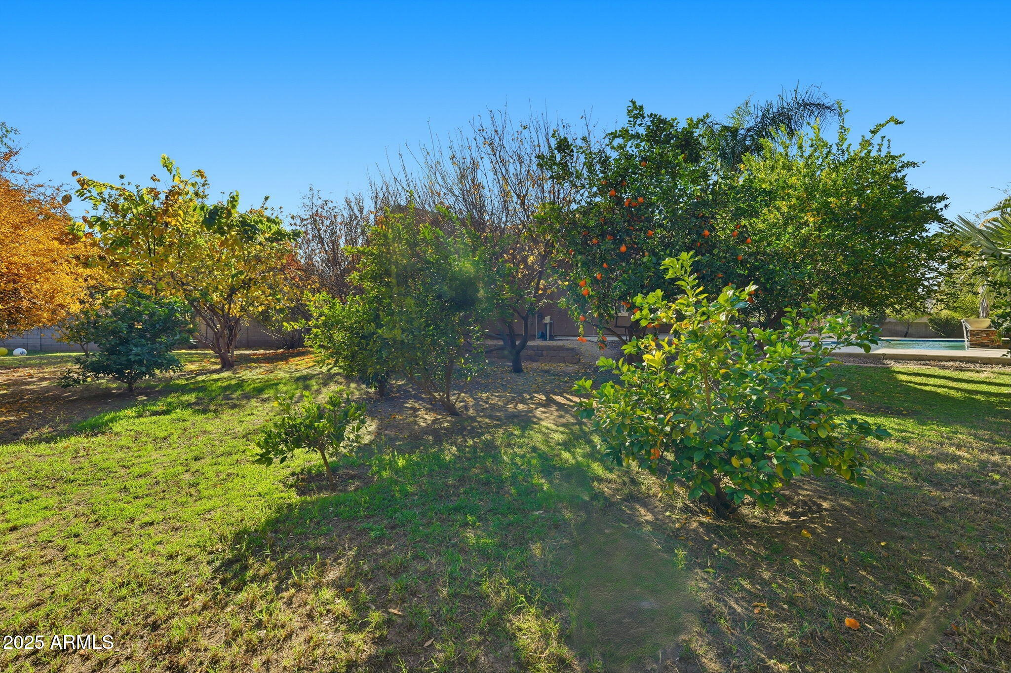 2218 East Brooks Farm Road Gilbert, AZ 85298 - Photo 53 of 55 a backyard of a house with lots of green space and mountain view