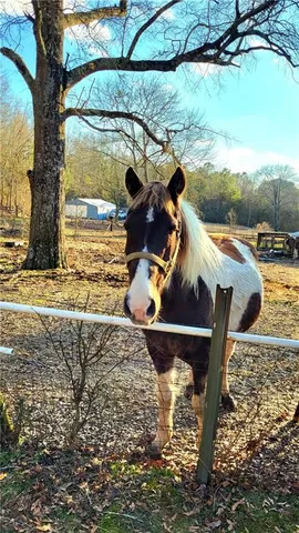 $275,000 | 2070 Kingston Highway, Rome, GA 30161