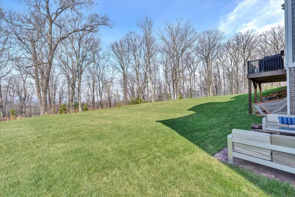 a view of a park with large trees