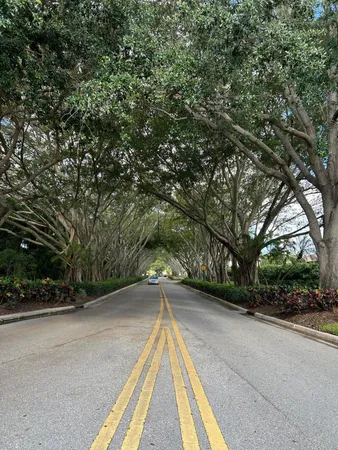 a view of backyard with a car parked on the road