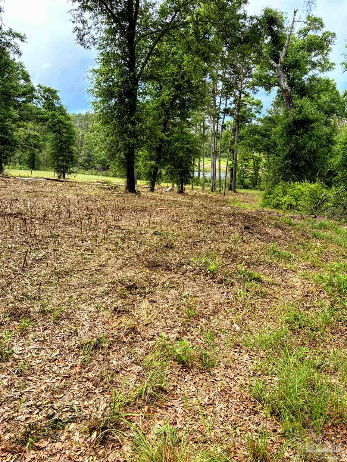 9023 County Road Millry, AL 36558 - Photo 31 of 72