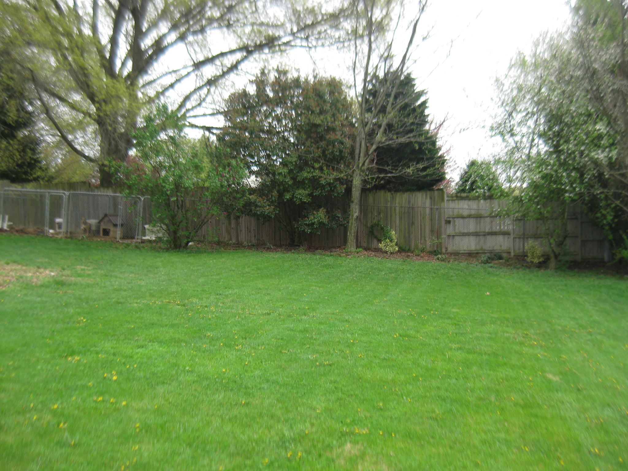 6527 Sherry Road Roanoke, VA 24019 - Photo 22 of 35 Backyard