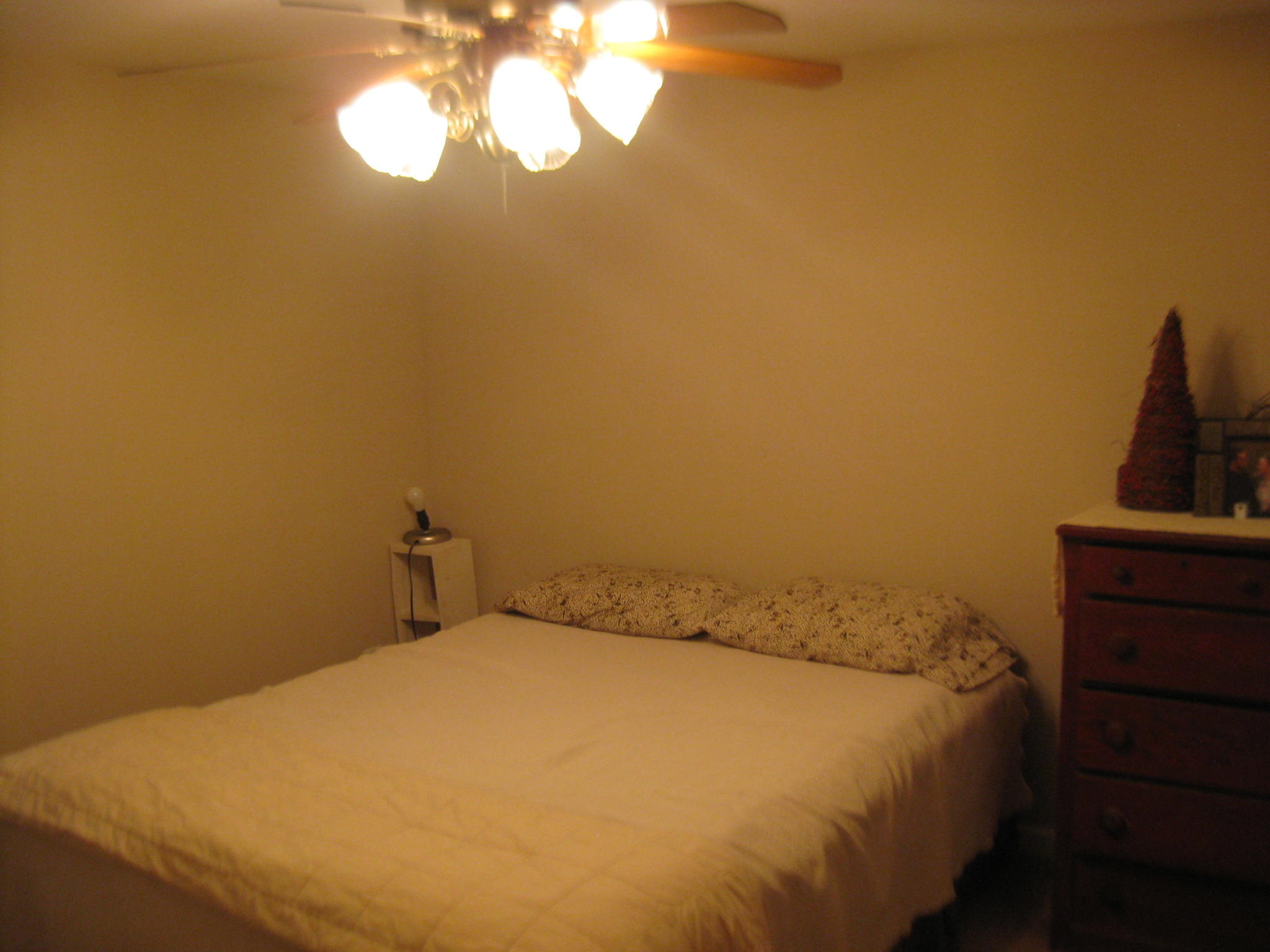 6527 Sherry Road Roanoke, VA 24019 - Photo 27 of 35 Bedroom Four