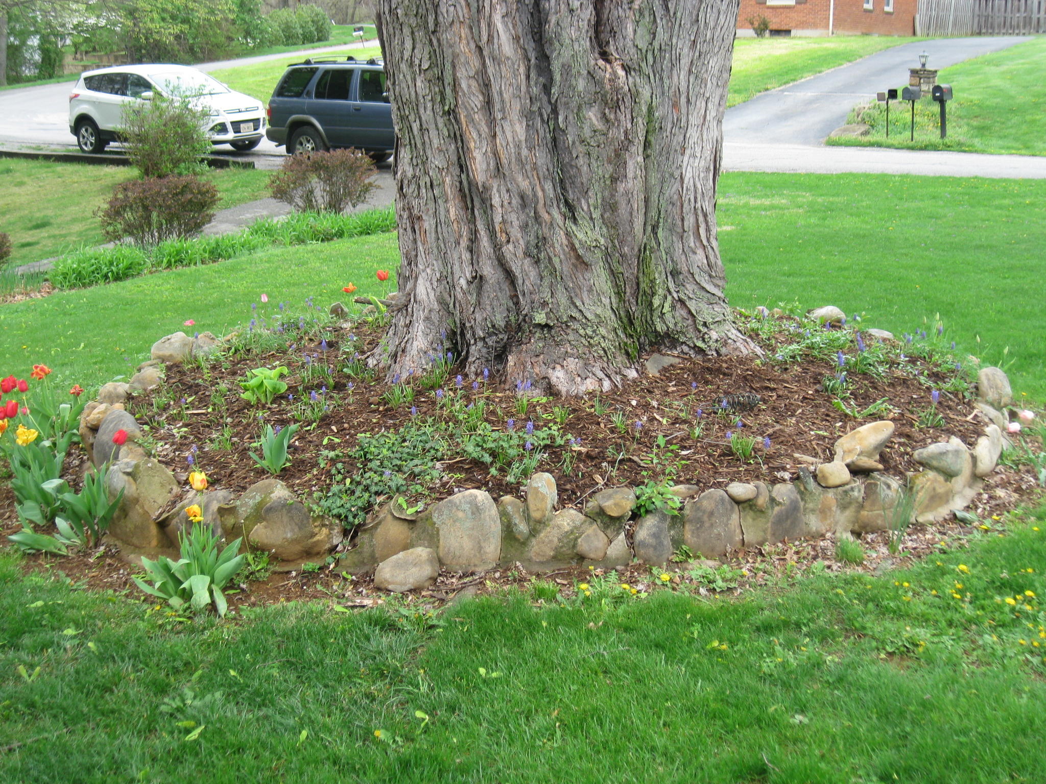 6527 Sherry Road Roanoke, VA 24019 - Photo 30 of 35 Landscape