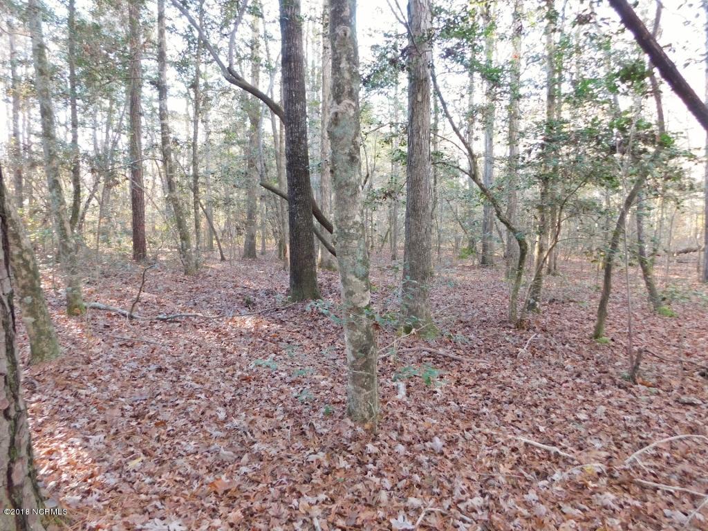 26.89 Bynum Farm Road Pinetops, NC 27864 - Photo 34 of 43 34 (1024x768)
