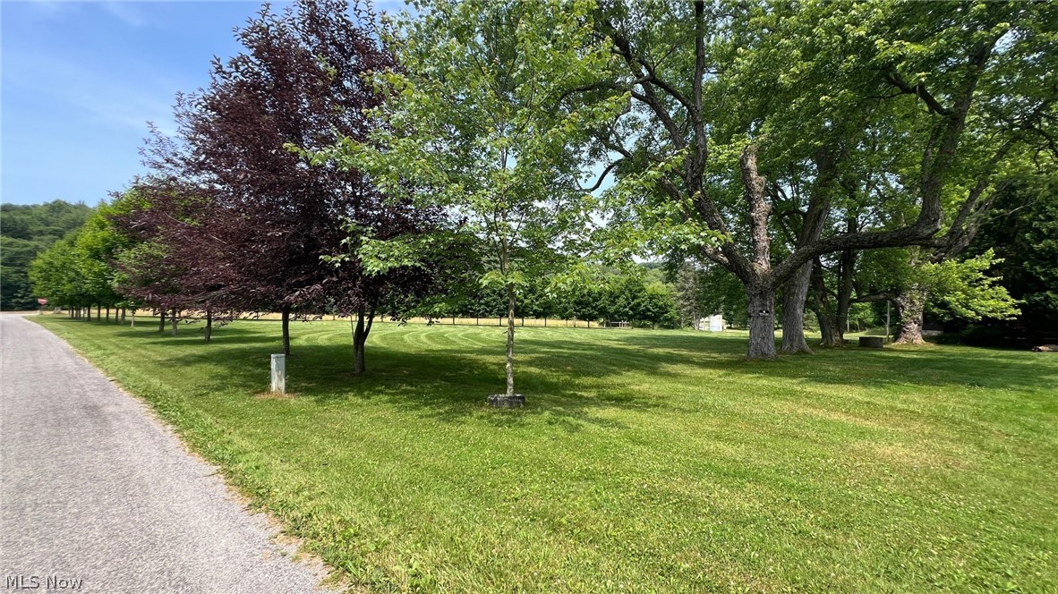 5017 Jade Road Northwest Carrollton, OH 44615 - Photo 20 of 22 Jade Rd. side of property. No driveway but easy access from here.